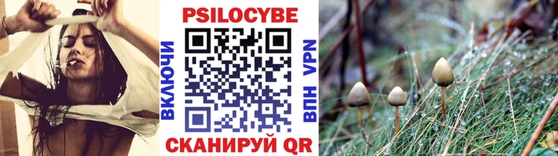 mega ССЫЛКА  Арамиль  Галлюциногенные грибы Psilocybe  закладки 